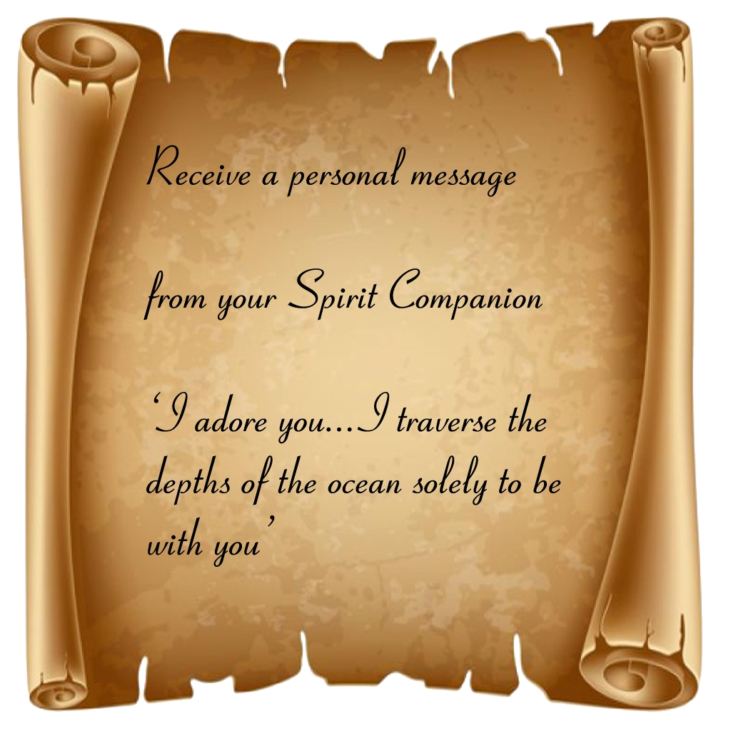 Receive a Personal Message from Your Spirit Companion – Spiritual Guidance & Insight